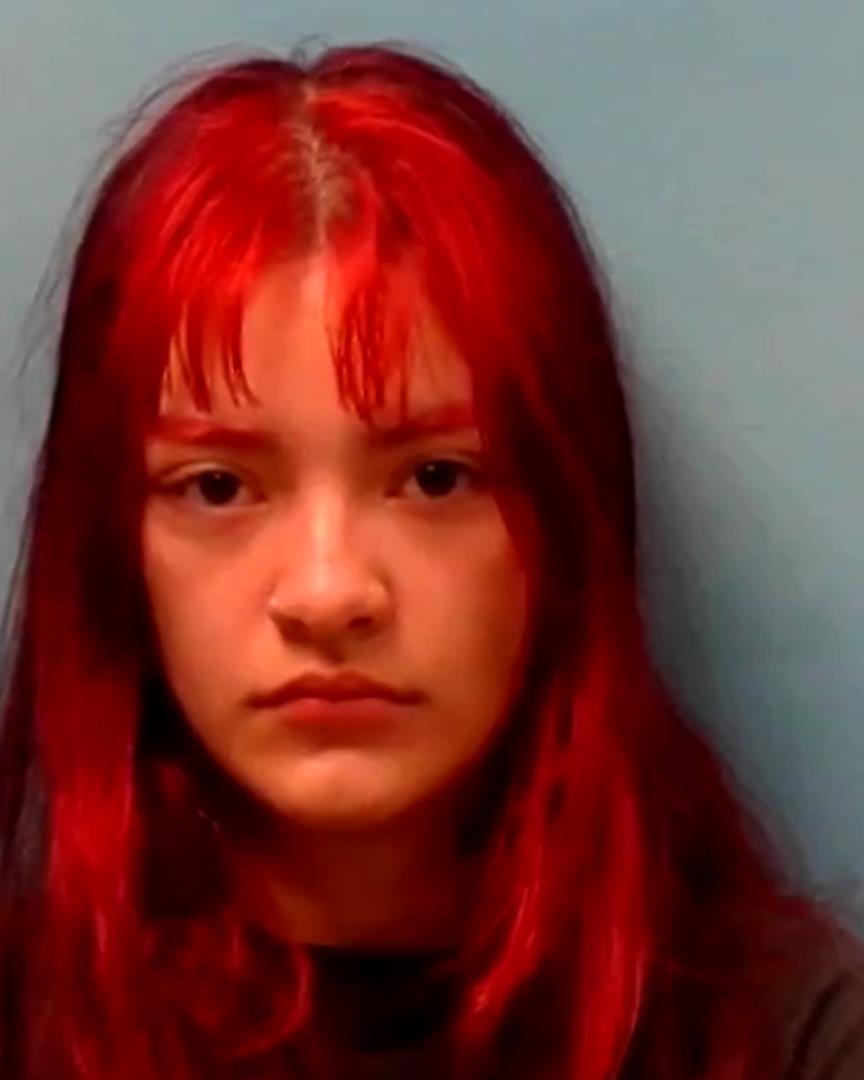 stearns-county-mn-jail-roster-search