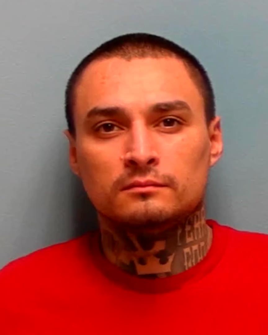 Image of SIMON TORRES