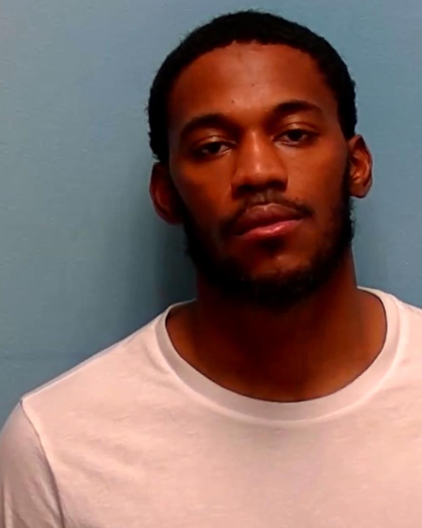 Image of ARION PALTON