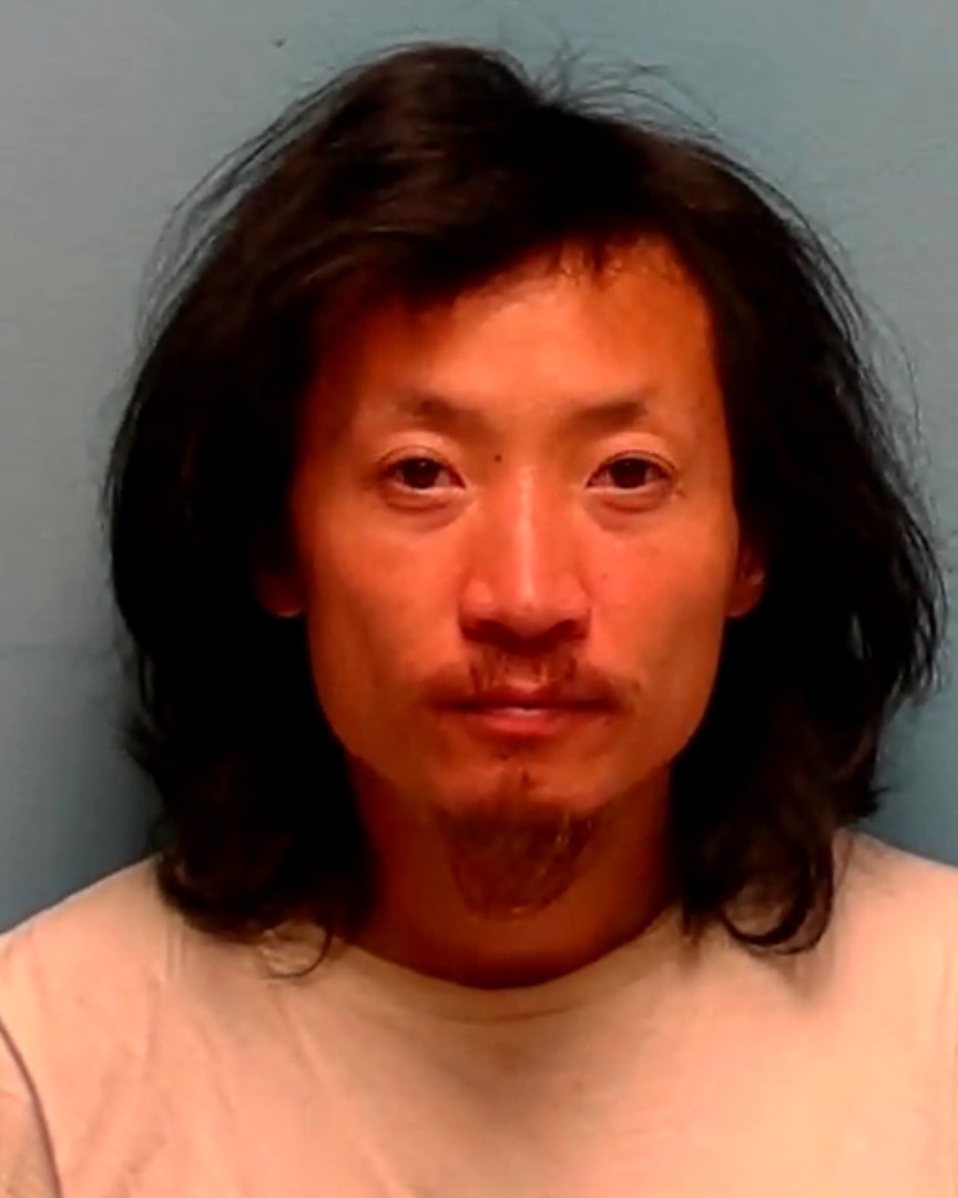Booking photo of NENGZONG VANG